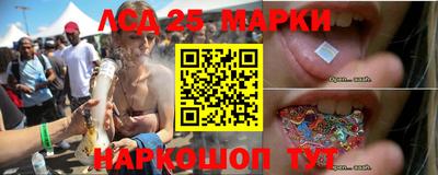 амф Обь
