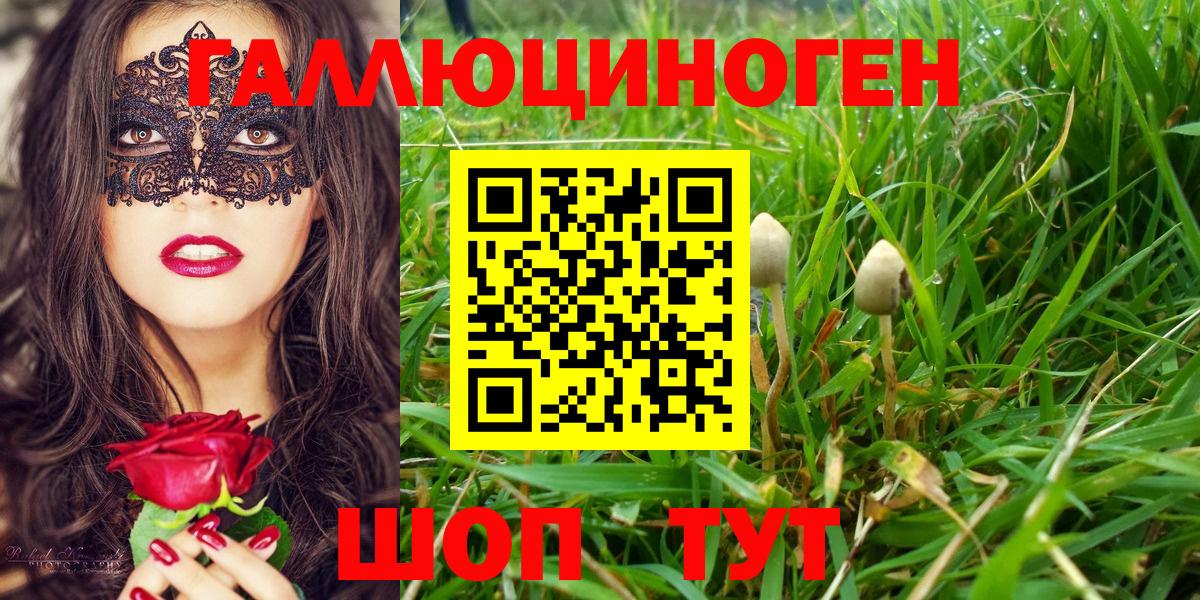 Саяногорск  Галлюциногенные грибы мухоморы  Вход с VPN 